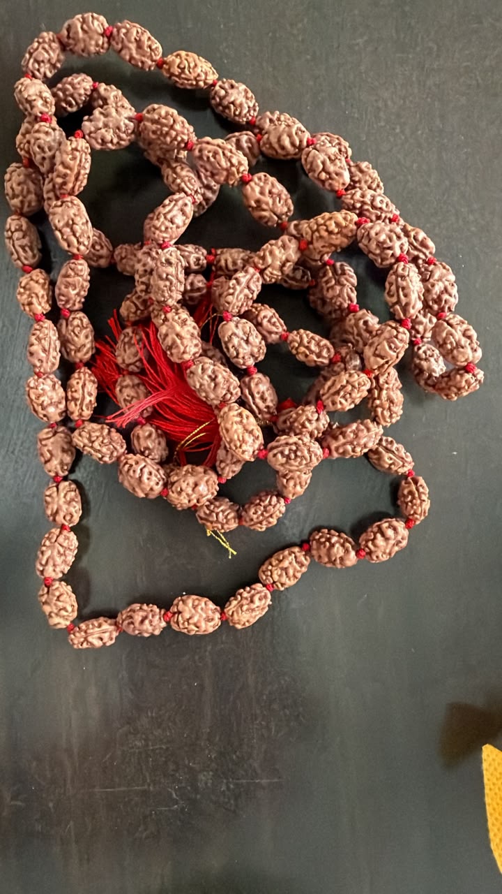 Actual Rudraksh mala